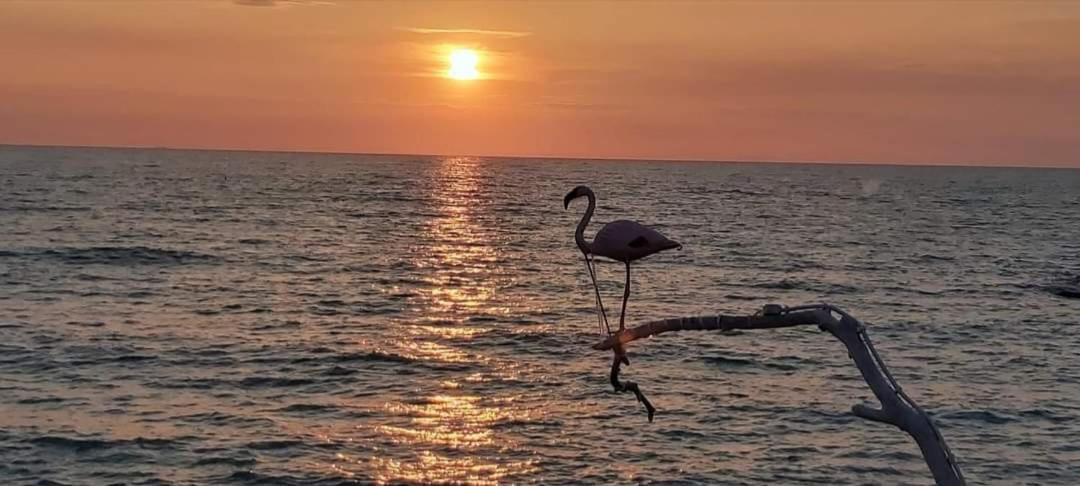 Affreschi Sul Mare Hotel Marina Di Pisa Buitenkant foto